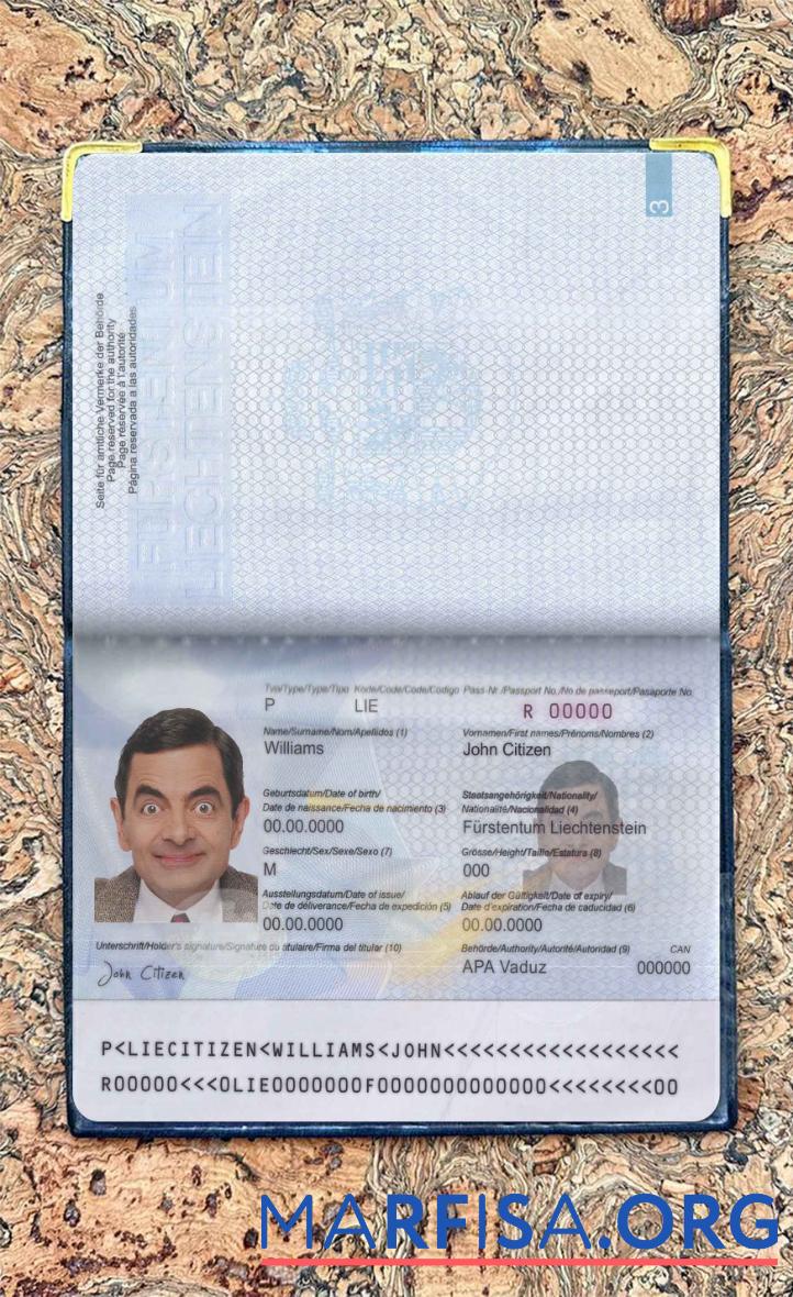 Downloadable Liechtenstein pass photo look sample